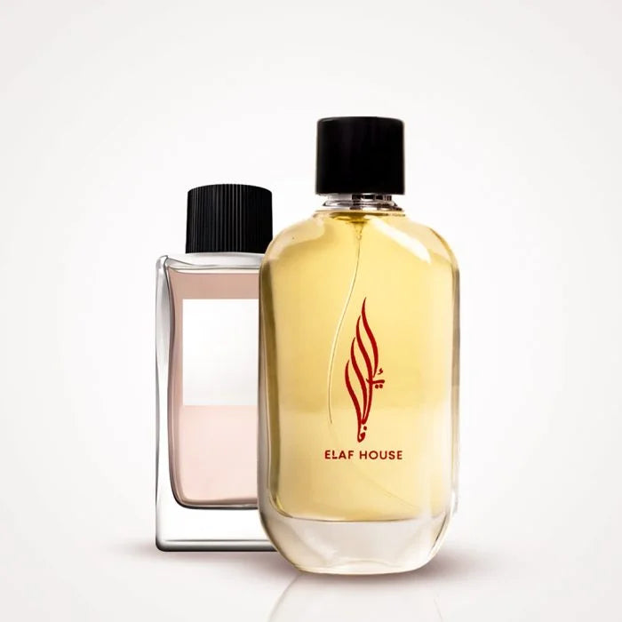 ELAF Three – Inspired by Dolce & Gabbana 3