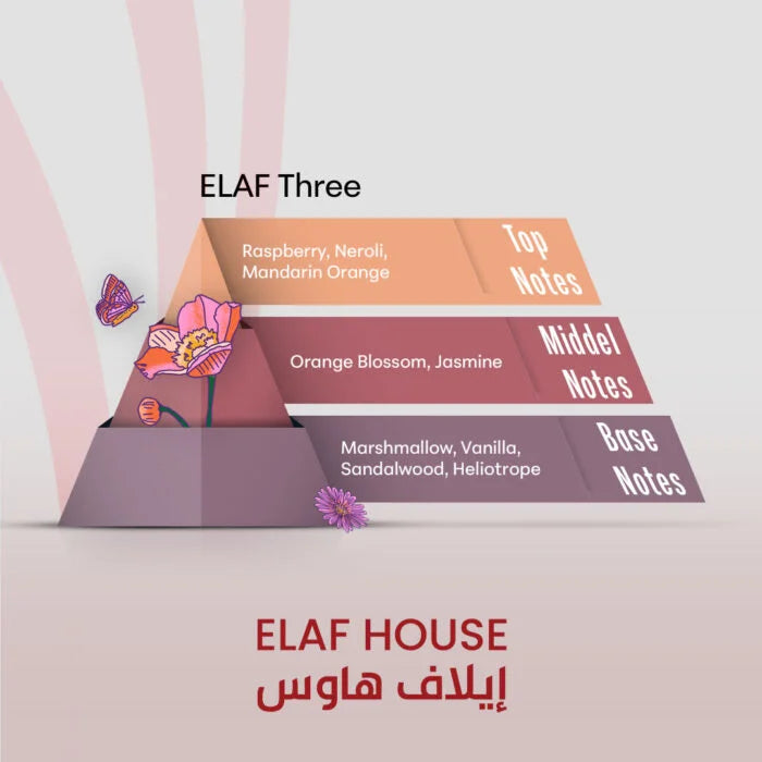 ELAF Three – Inspired by Dolce & Gabbana 3