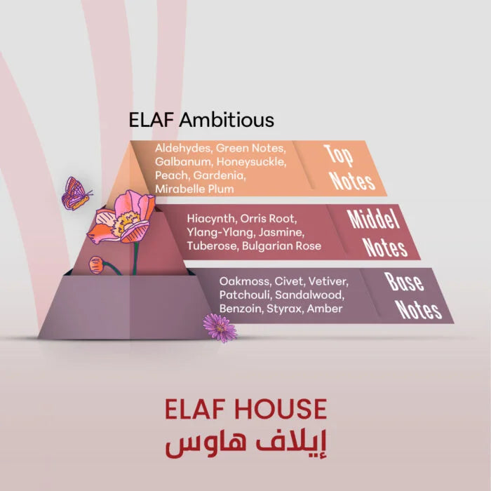 ELAF Ambitious – Inspired by Y