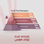 ELAF The Champion - Inspired by Champion - Image 2