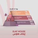ELAF A Trip - Inspired by Voyage d'Hermes - Image 2