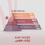 ELAF 12:00 am - Inspired by Midnight - Image 2