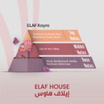 ELAF Kayra - Inspired by Kirke - Image 2